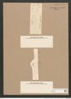 Pleurosigma constrictum Grun. (de-Toni-Nr.: Genus 13, Species 1070) Zeichnungen Sammlung Grunow Nr. 1936 (NHMW-BOT-W0369070)